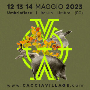 Caccia Village 2023